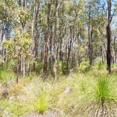 Bushfire Prone