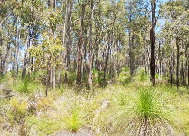 Bushfire Prone