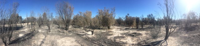 Harvey Waroona Fire