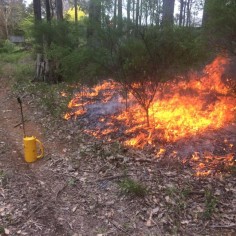 Bushfire Planning Western Australia