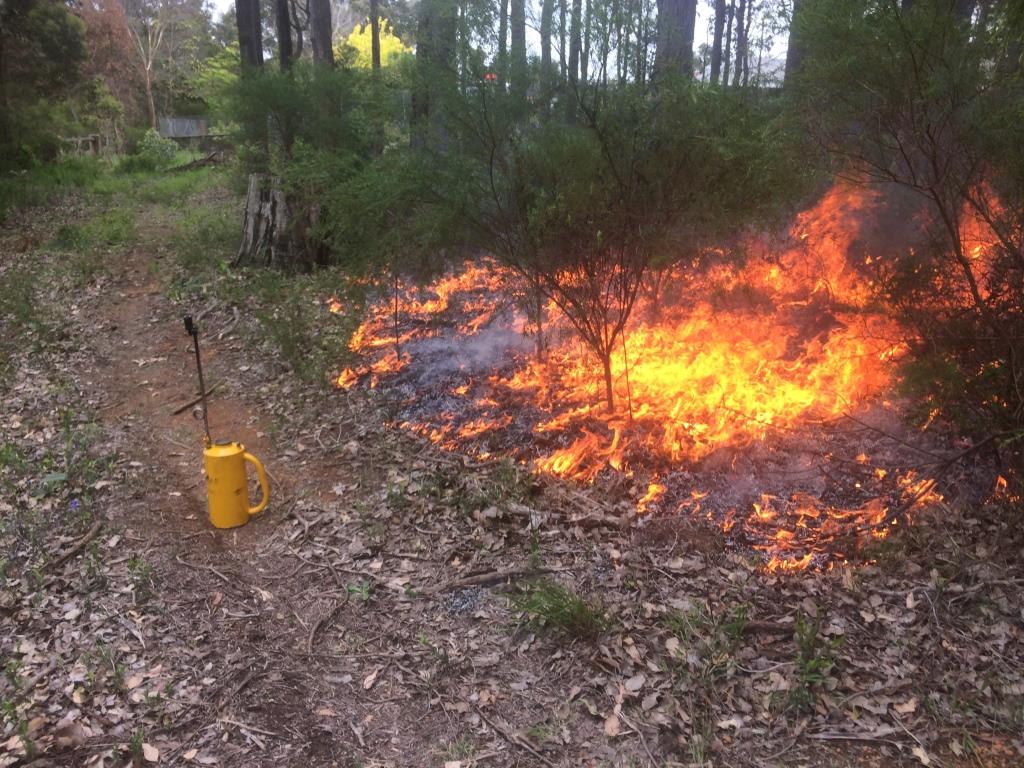 Bushfire Planning Western Australia