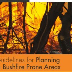 Bushfire