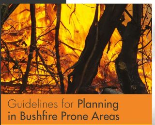 Bushfire