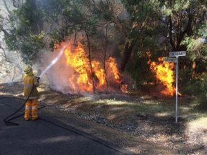 Bushfire albany