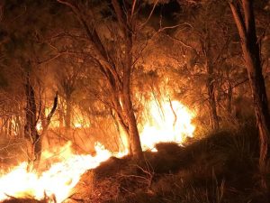 Bushfire