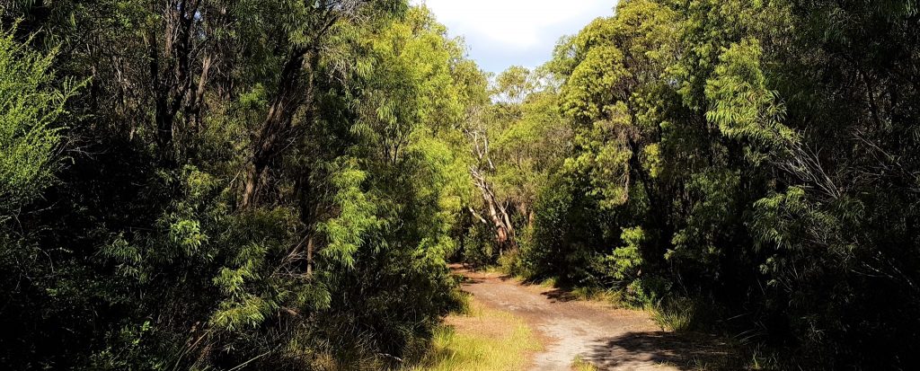 Bushfire Planning