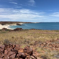 Bushfire Tourism