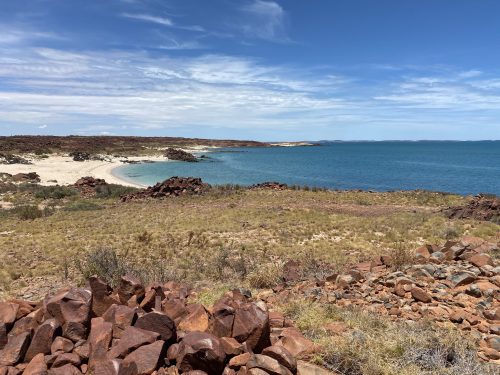 Bushfire Tourism